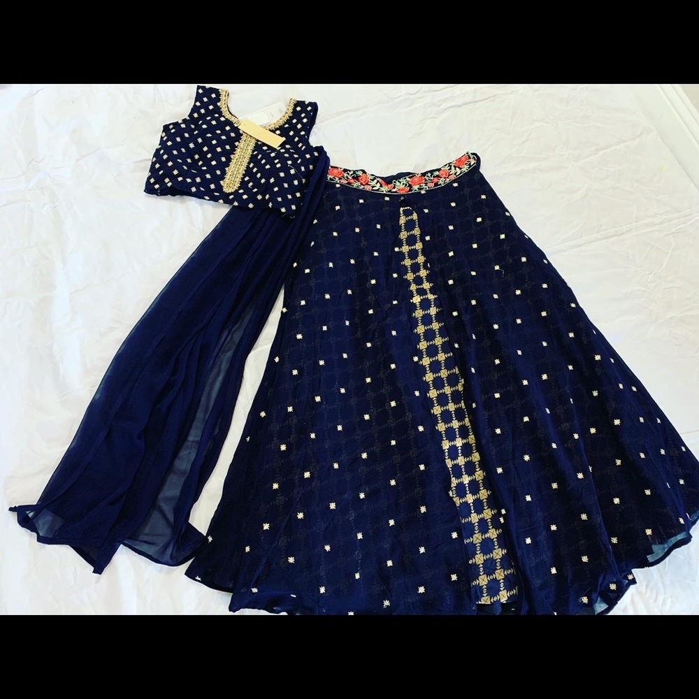 Brand new, georgette embroidered lehenga.